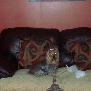 Meet your Posher, Karen